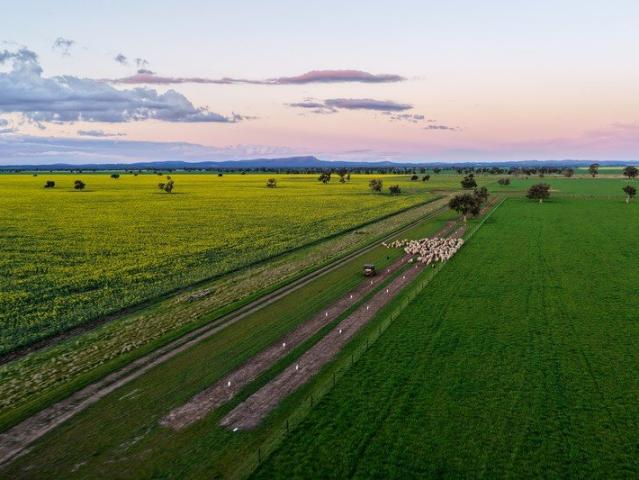 A strategically developed mixed farm located approx. 8.5 linear kms north east of Forbes with direct access to the Central West Livestock Exchange