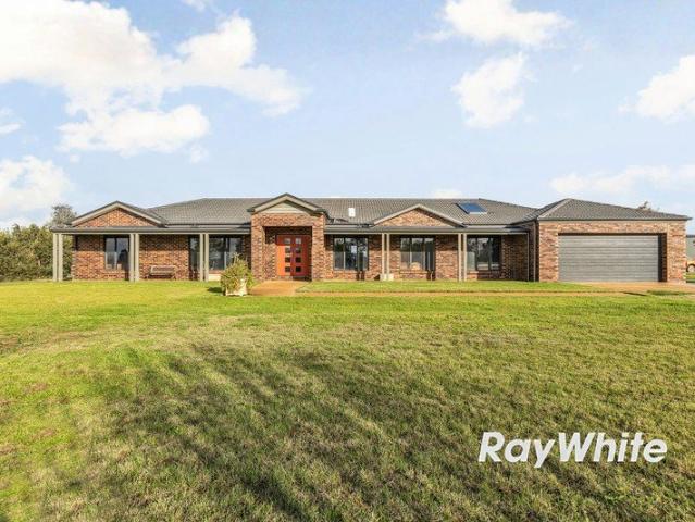 A Stunning Lifestyle Opportunity on 50 Acres