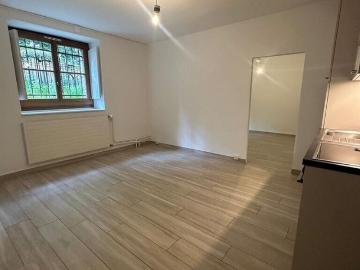 À saisir ! Appartement au coeur de Genève!