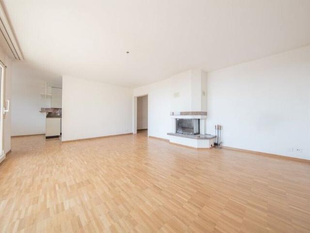 A saisir! Magnifique apartment with lake view!