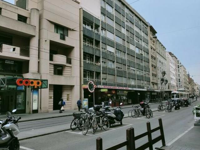 A saisir ! Magnifique duplex au coeur de genève !