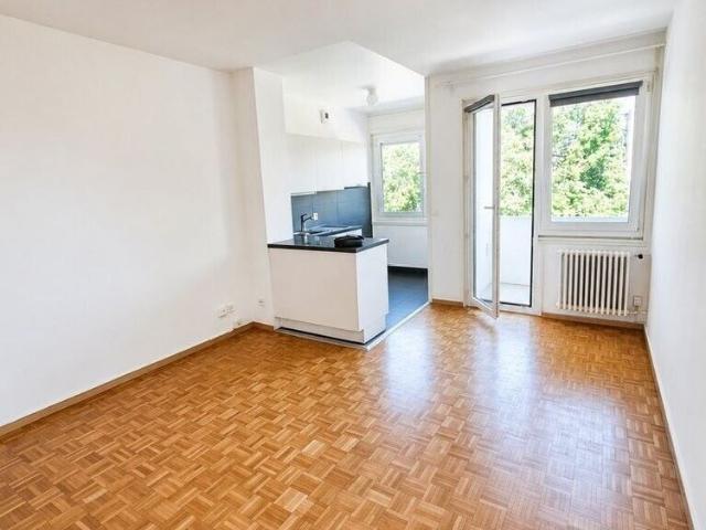 A saisir ! Magnifique logement au coeur de Genève !
