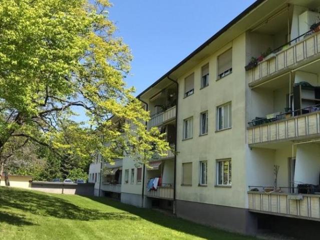 A saisir ! Magnifique logement au coeur de Versoix !