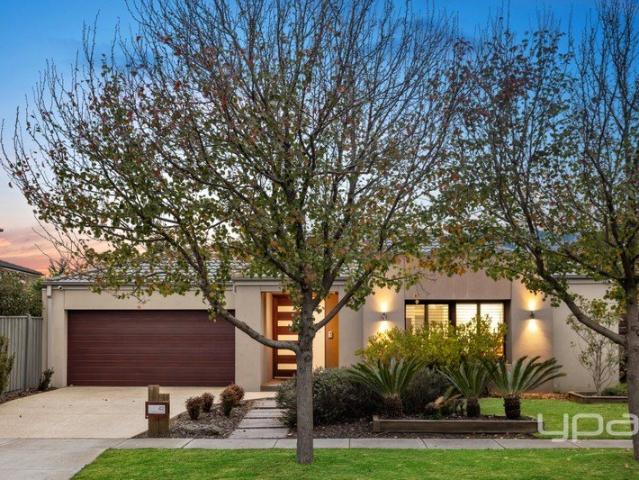 A Saltwater Masterpiece with Front Row City Views!