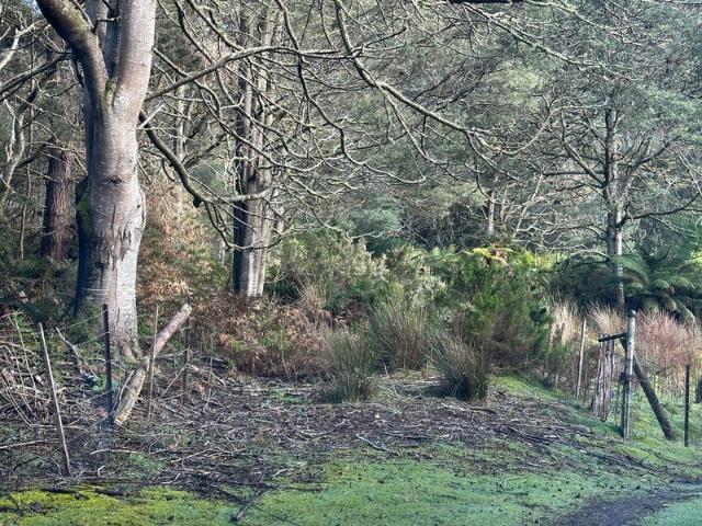 A Secluded Bushland Escape at the End of Swamp Road, Franklin