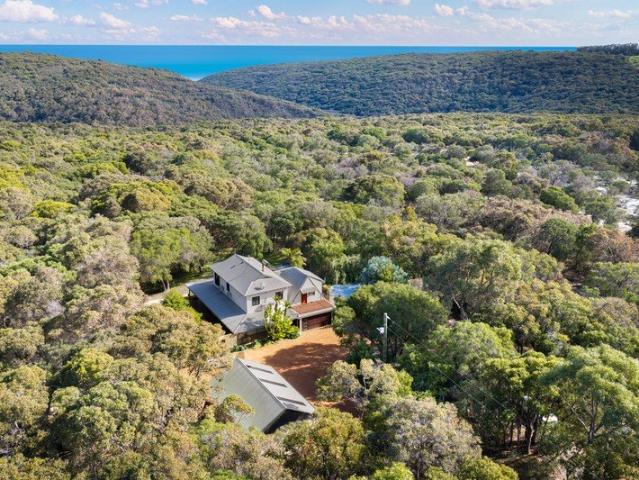 A Serene Nature Escape and Ocean Whisper