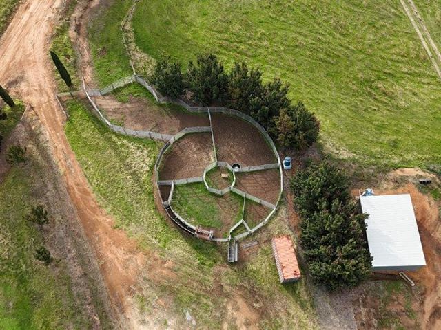 A small farm with big dreams!