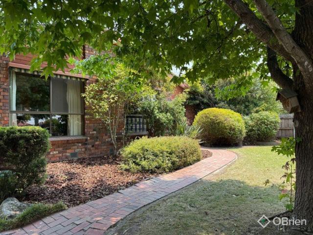 A Smart Buy with Space and Potential