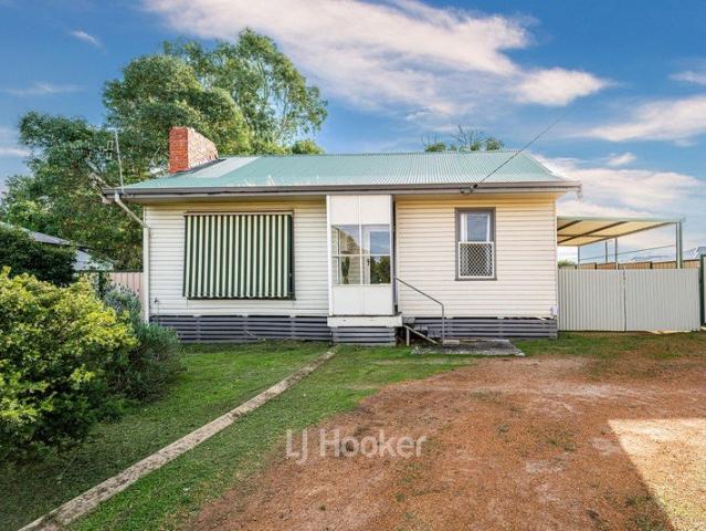 A Smart Start in Collie