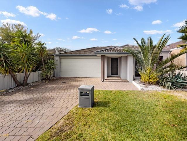 A Spacious Family Favourite in Wilson
