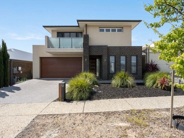 A Spacious Family Haven with Elevated Coastal Views