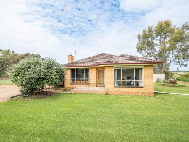 A Spacious Family Home on Approximately 4.4 Acres With an Impressive Powered Shed!