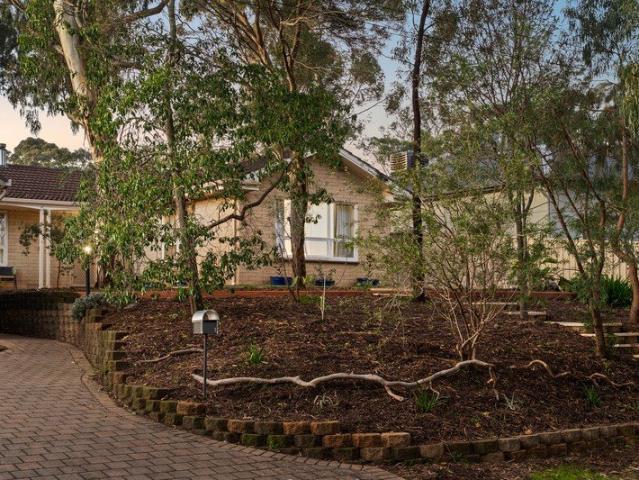 A spacious, sun drenched entertainer with self contained studio perks encouraging you to gather, grow and stay a while