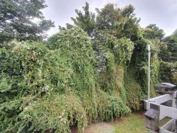 A spacious Two bedroom flat close to Common Wealth