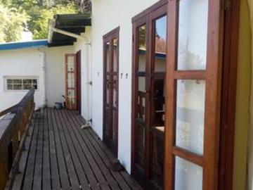 a timeless wooden home with forest v.