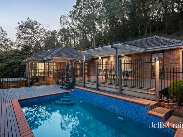 A treetop family oasis