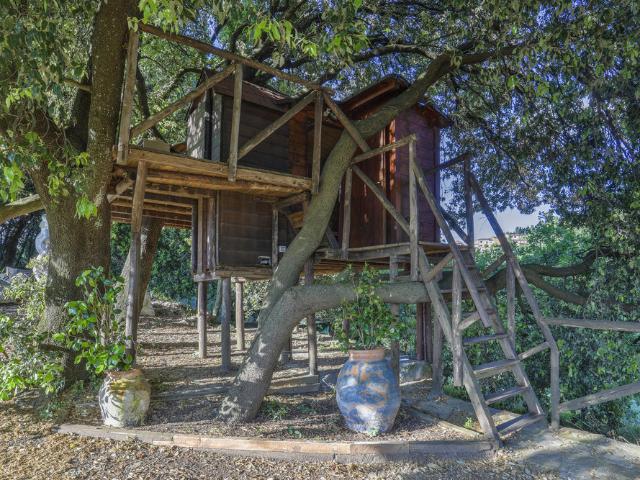 A Tree House Between Art, Nature and the Sea