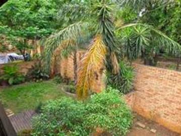 a tropical paradise!