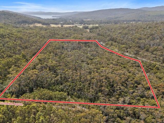 A True Tree Change with a Touch of Sea Air. Approx. 25 Acres of Natural Bushland