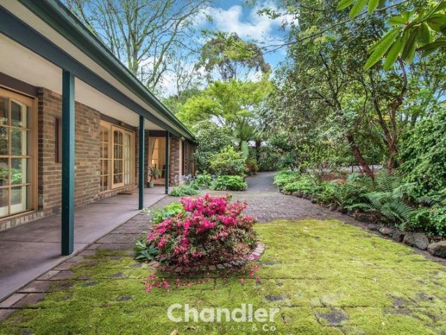 A Truly Special Lifestyle Property in a Perfect Hills Location