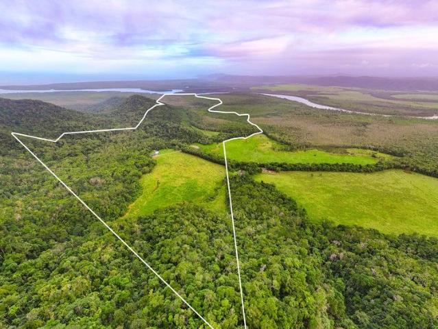 A VAST, SERENE ESTATE 3 MINUTES FROM THE DAINTREE FERRY