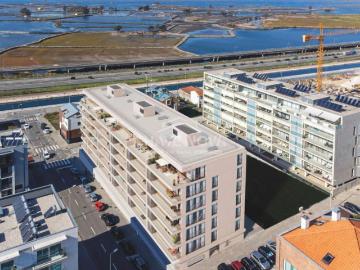 Rua Carlos Aleluia, Glória e Vera Cruz, Aveiro, Distrito de Aveiro