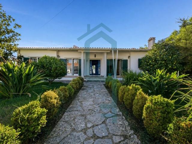 à venda Apartamento de luxo de 333 m2, Alcobaça, Leiria
