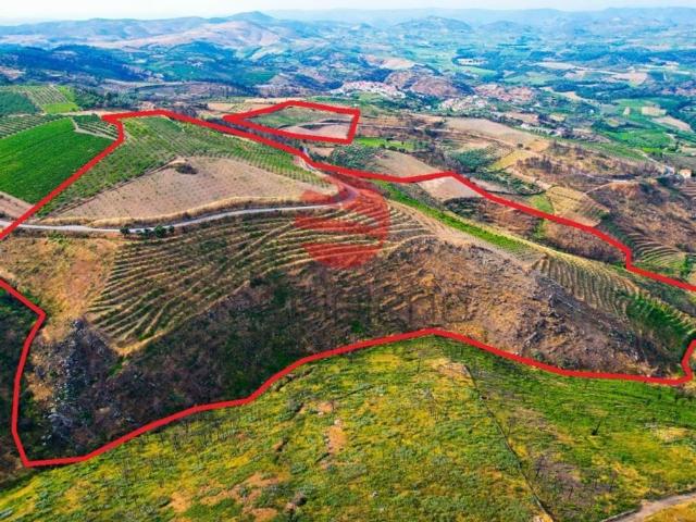 Terreno de 281139 m2 à venda Vila Nova de Foz Côa, Portugal
