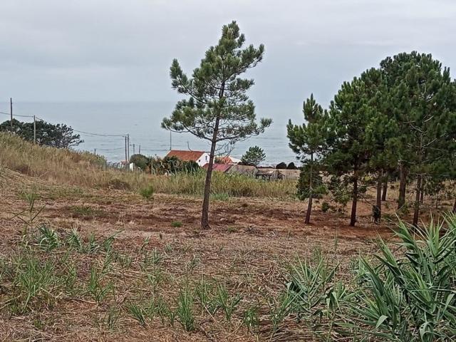 à venda Casa Exclusiva de 210 m2, Nazaré, Portugal