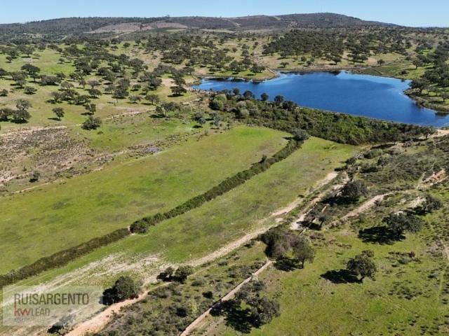 Terreno de 600 m2 Castelo Branco