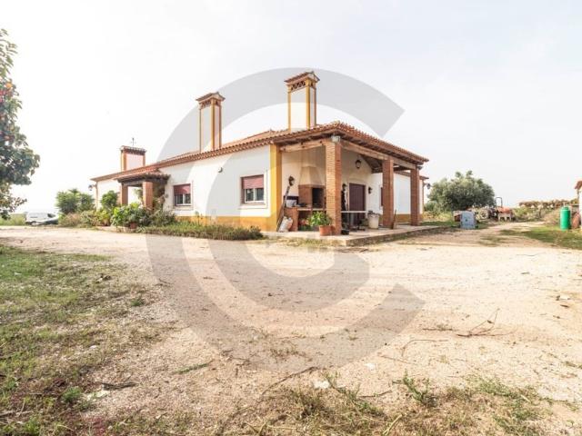 à venda Exclusiva mansão de 3 dormitórios, Entroncamento, Santarém