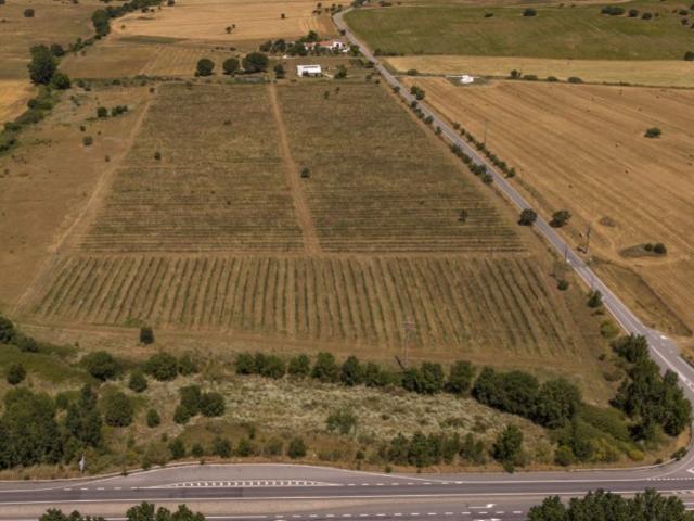 Terreno de 103500 m2 Arraiolos, Portugal