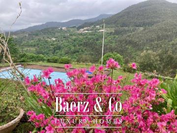 Oliveira de Frades, Distrito de Viseu