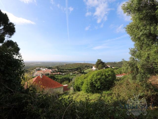 À VENDA: Lote com vista mar em Malveira da Serra localização elevada, exclusiva e isolada, com projeto de construção aprovado e vistas desafogadas garantidas