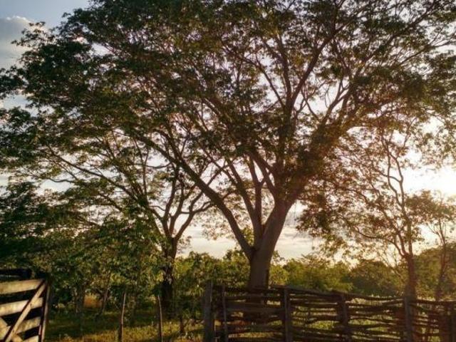 à Venda Urucuia/MG