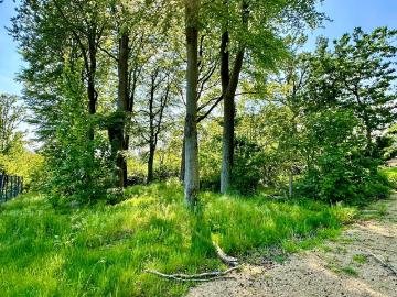 7750, Mont-de-l’Enclus, Tournai-Mouscron, Wallonie