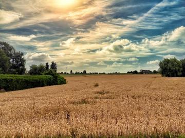 7080, Arrondissement de Mons, Wallonie