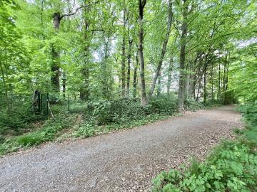 1950, Crainhem, Hal-Vilvorde, Flandre