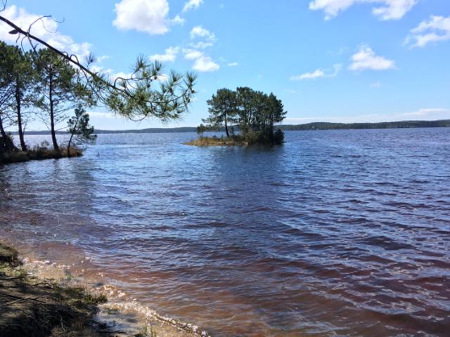 A VENDRE terrain SITUE A 400 M DU LAC Agence Brussol Lacanau