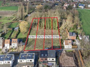 9230, Termonde, Flandre orientale, Flandre