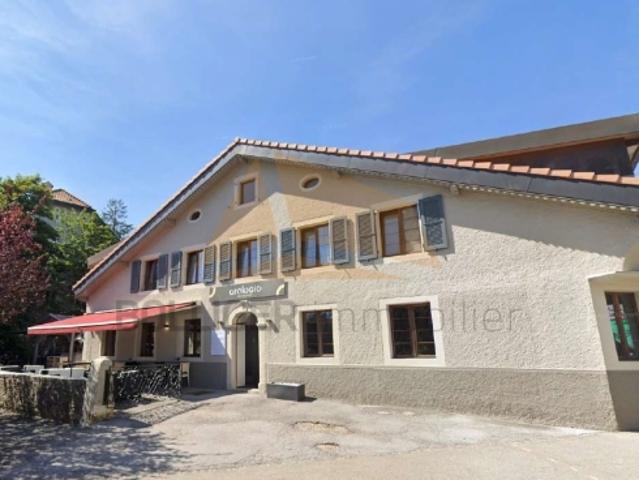 A VENDRE TRÈS BEL IMMEUBLE MIXTE