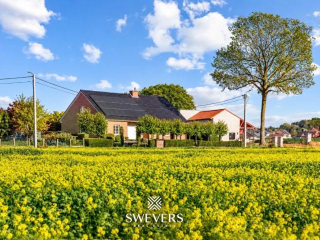 à vendre Villa Tielt Winge Reigersweide