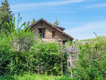 1150, Bruxelles-Capitale - Jardin, Cave