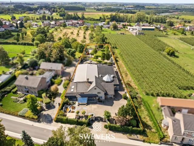 à vendre Villa Bommershoven Oorsprongstraat
