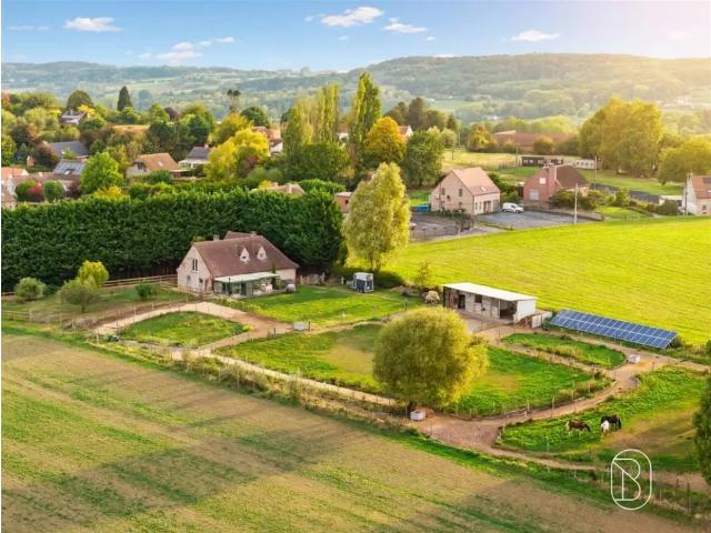 à vendre Villa Ellezelles mont