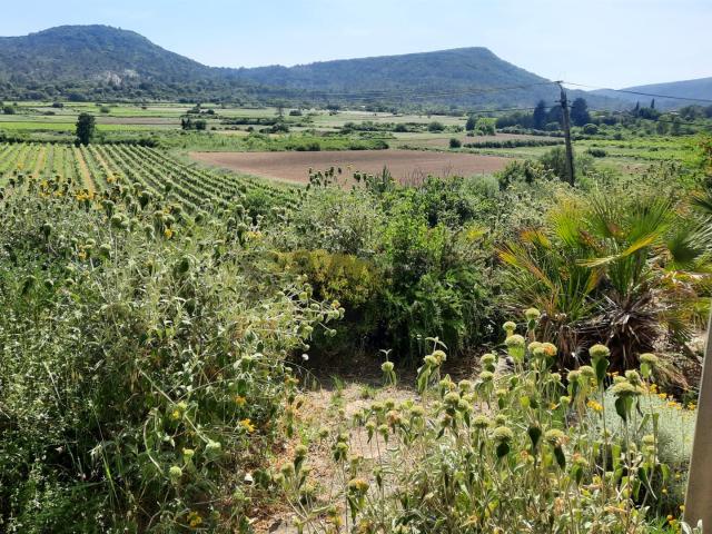 À Vendre Villa Plain Pied Secteur Pompignan 120m² Pompignan