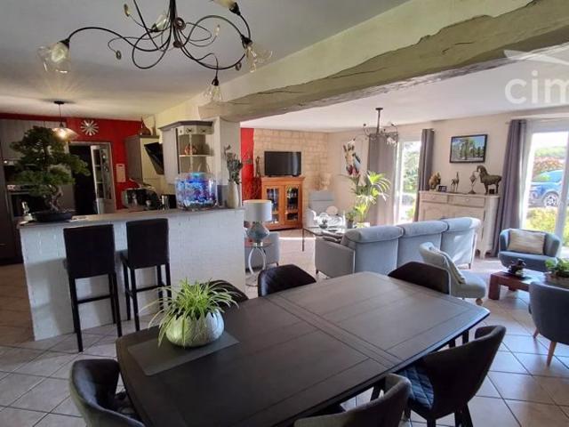 A Vendre à Muides sur Loire, Maison de standing 5 chambres + Piscine
