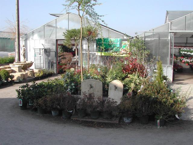 À vendre Allier exploitation horticole m² Cosne d'Allier