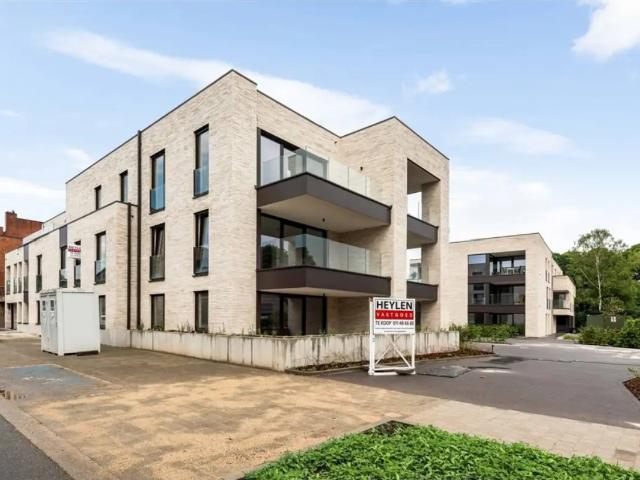 à vendre Appartement Tessenderlo Lichtveld