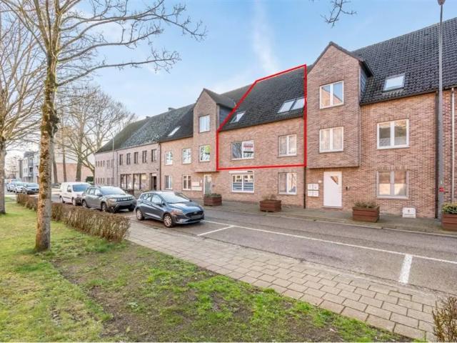 à vendre Appartement Tessenderlo sint jozefsplein